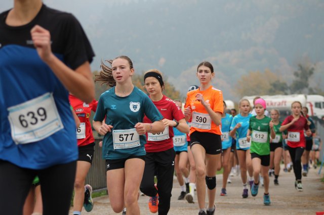 k-2024_crosscountry-land 244